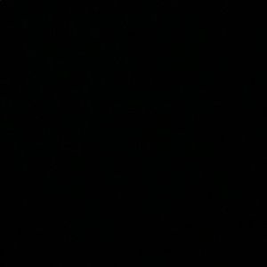 Meet your Posher, Dontay